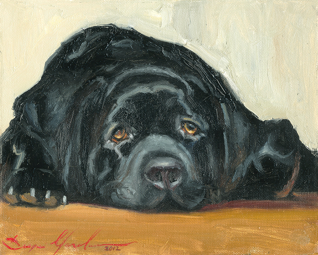 Artistic painting of a black dog Labrador 