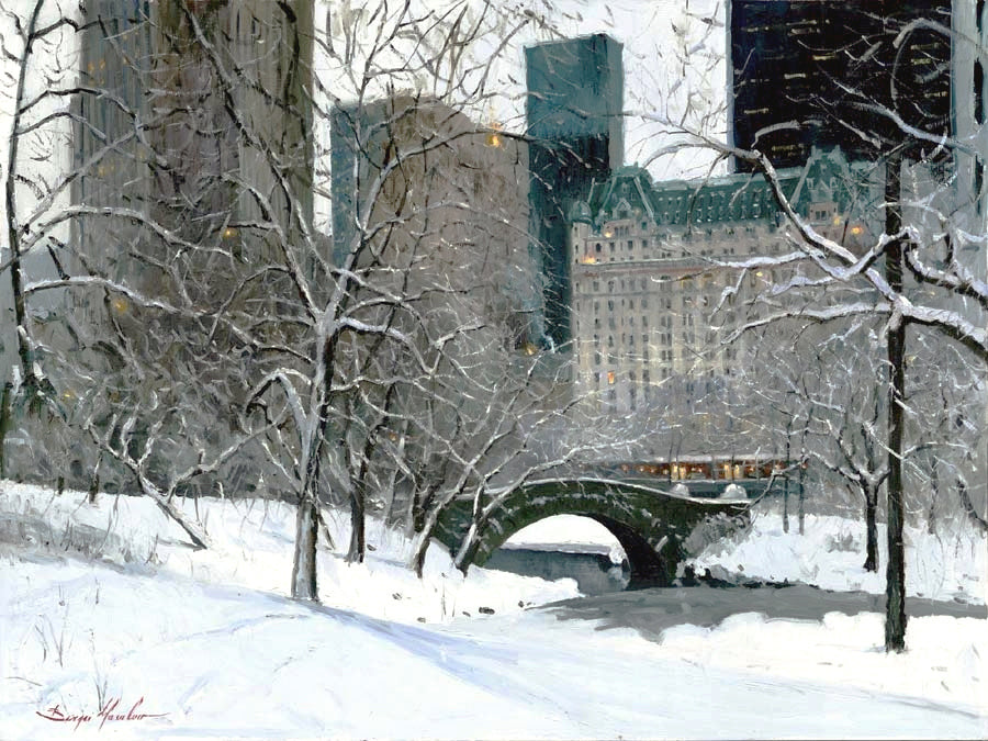 Snow Day in Central Park