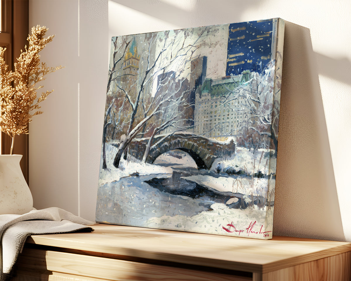 Winter in Central Park