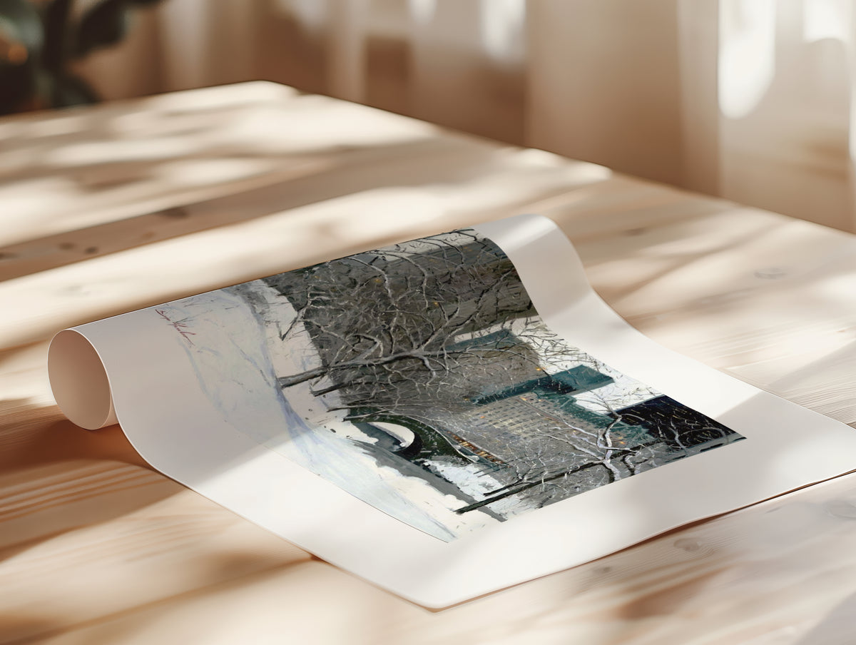 Snow Day in Central Park