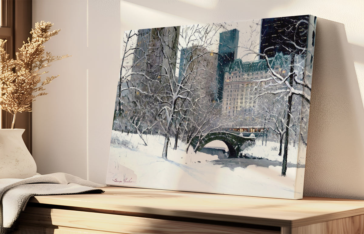 Snow Day in Central Park